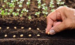 Featured image of post Faithful in Little